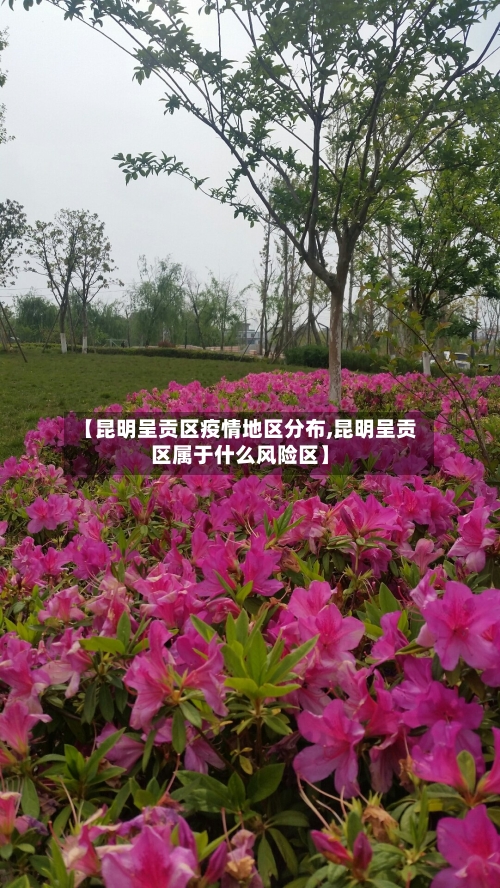 【昆明呈贡区疫情地区分布,昆明呈贡区属于什么风险区】-第3张图片