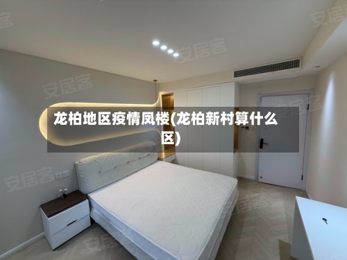 龙柏地区疫情凤楼(龙柏新村算什么区)