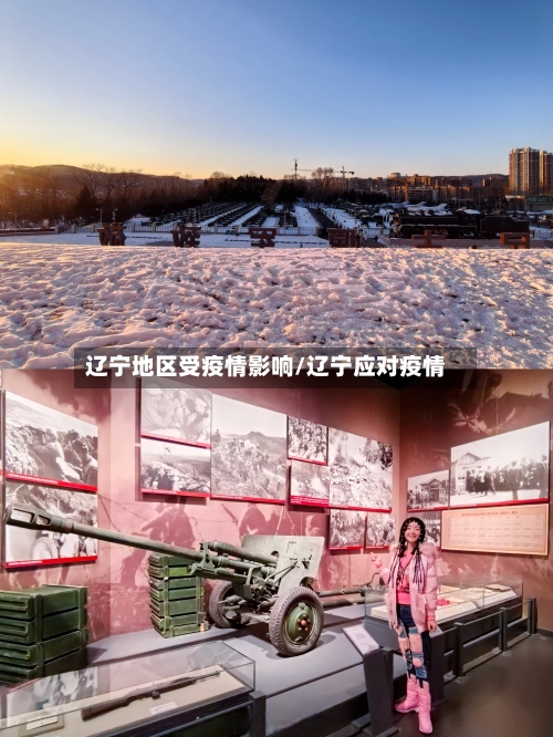 辽宁地区受疫情影响/辽宁应对疫情