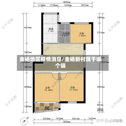 金杨地区疫情消息/金杨新村属于哪个镇-第2张图片