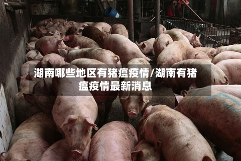 湖南哪些地区有猪瘟疫情/湖南有猪瘟疫情最新消息-第2张图片