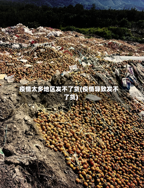 疫情太多地区发不了货(疫情导致发不了货)