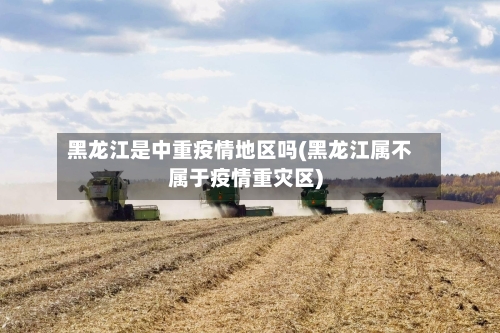 黑龙江是中重疫情地区吗(黑龙江属不属于疫情重灾区)-第2张图片