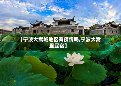 【宁波大嵩城地区有疫情吗,宁波大嵩里民宿】