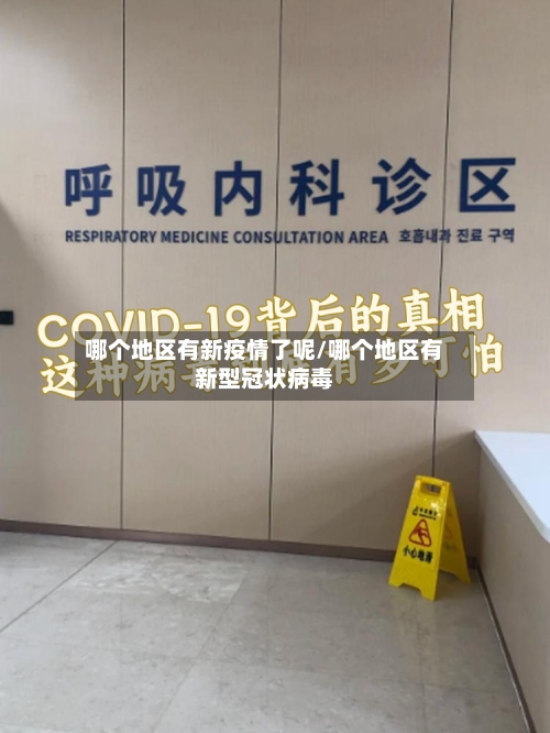 哪个地区有新疫情了呢/哪个地区有新型冠状病毒-第2张图片