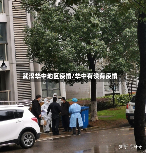 武汉华中地区疫情/华中有没有疫情-第3张图片