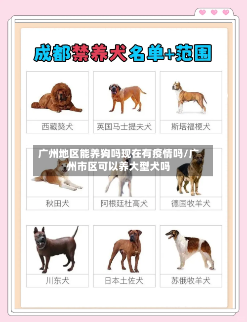 广州地区能养狗吗现在有疫情吗/广州市区可以养大型犬吗