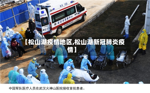 【松山湖疫情地区,松山湖新冠肺炎疫情】