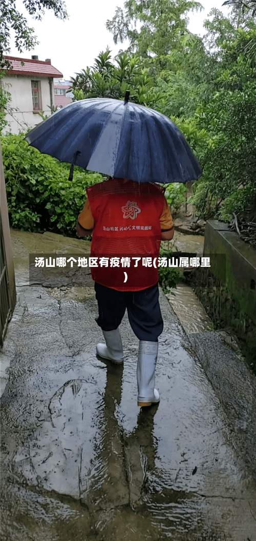 汤山哪个地区有疫情了呢(汤山属哪里)