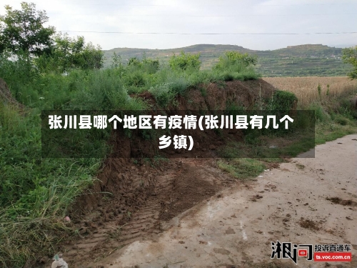 张川县哪个地区有疫情(张川县有几个乡镇)