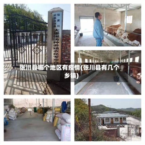 张川县哪个地区有疫情(张川县有几个乡镇)-第3张图片