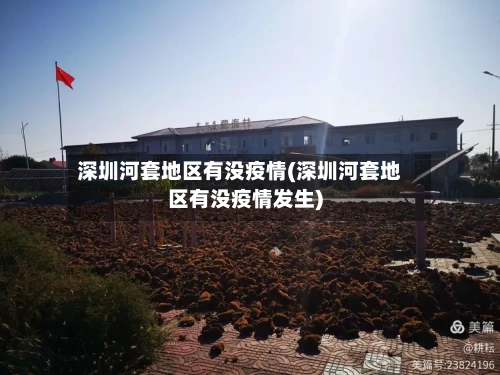 深圳河套地区有没疫情(深圳河套地区有没疫情发生)-第2张图片