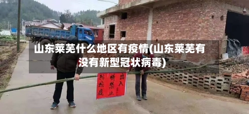 山东莱芜什么地区有疫情(山东莱芜有没有新型冠状病毒)