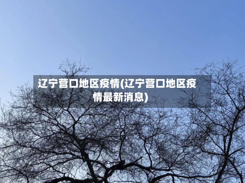 辽宁营口地区疫情(辽宁营口地区疫情最新消息)-第2张图片