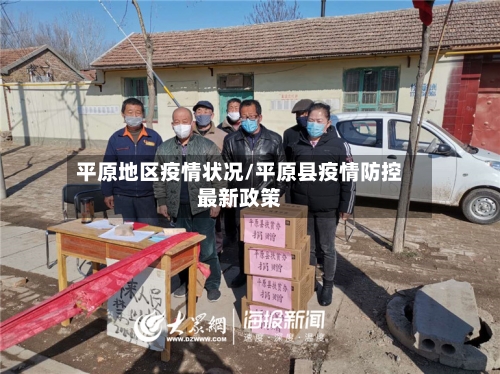 平原地区疫情状况/平原县疫情防控最新政策-第2张图片