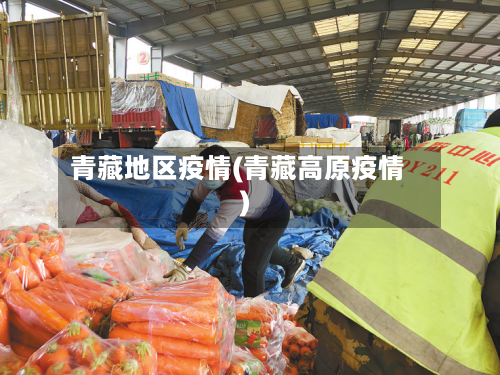 青藏地区疫情(青藏高原疫情)-第2张图片