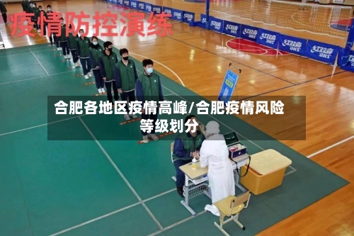 合肥各地区疫情高峰/合肥疫情风险等级划分-第2张图片