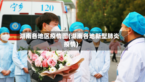 湖南各地区疫情图(湖南各地新型肺炎疫情)