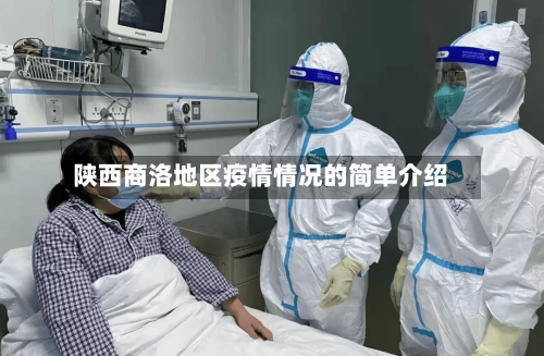 陕西商洛地区疫情情况的简单介绍-第2张图片
