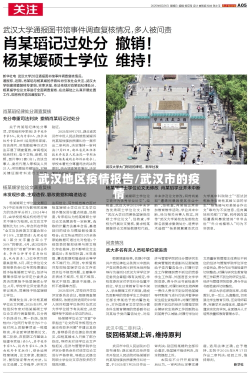 武汉地区疫情报告/武汉市的疫情