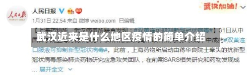 武汉近来是什么地区疫情的简单介绍-第2张图片