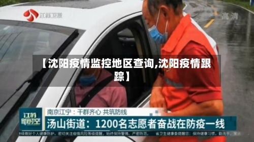 【沈阳疫情监控地区查询,沈阳疫情跟踪】