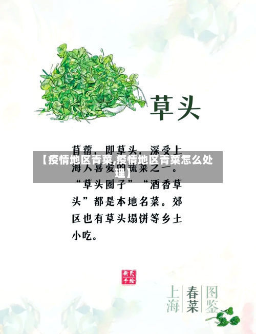 【疫情地区青菜,疫情地区青菜怎么处理】-第3张图片
