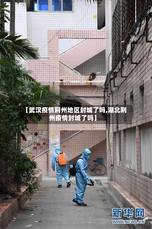 【武汉疫情荆州地区封城了吗,湖北荆州疫情封城了吗】-第3张图片
