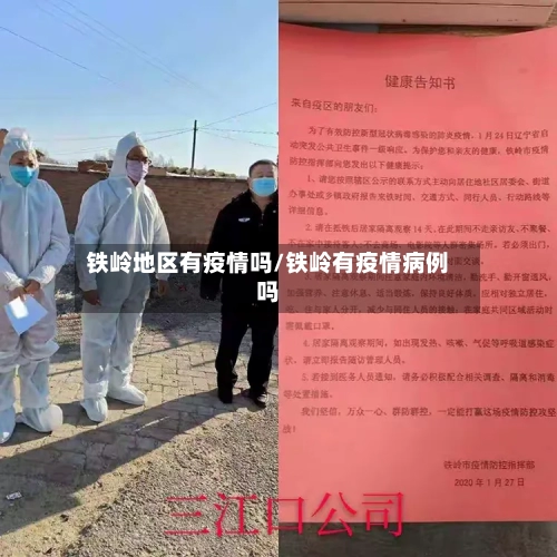 铁岭地区有疫情吗/铁岭有疫情病例吗-第3张图片