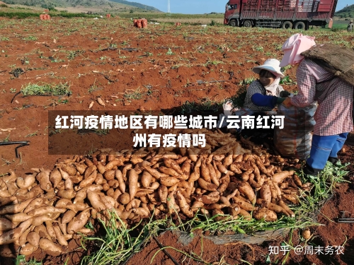 红河疫情地区有哪些城市/云南红河州有疫情吗-第3张图片