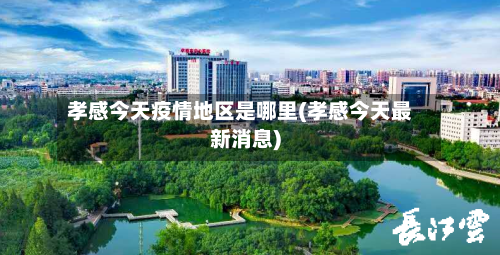 孝感今天疫情地区是哪里(孝感今天最新消息)-第3张图片
