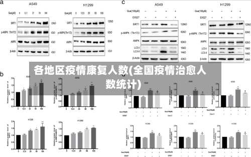 各地区疫情康复人数(全国疫情治愈人数统计)