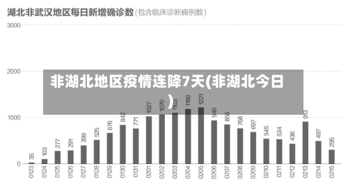 非湖北地区疫情连降7天(非湖北今日)-第3张图片