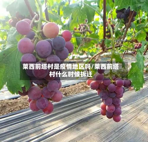 莱西前塔村是疫情地区吗/莱西前塔村什么时候拆迁