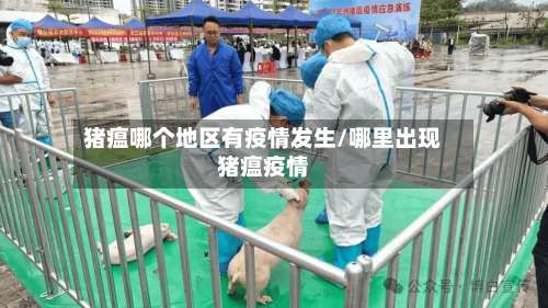 猪瘟哪个地区有疫情发生/哪里出现猪瘟疫情