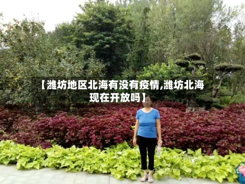 【潍坊地区北海有没有疫情,潍坊北海现在开放吗】-第3张图片