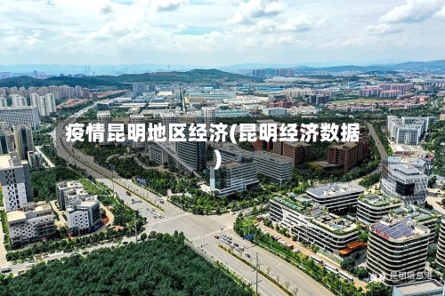 疫情昆明地区经济(昆明经济数据)-第3张图片