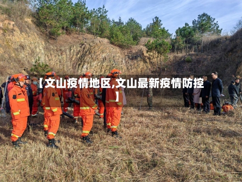 【文山疫情地区,文山最新疫情防控】-第3张图片