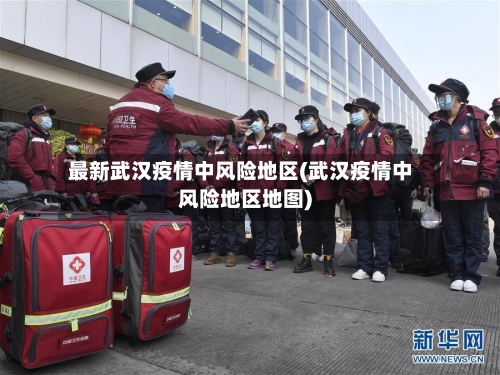 最新武汉疫情中风险地区(武汉疫情中风险地区地图)-第3张图片