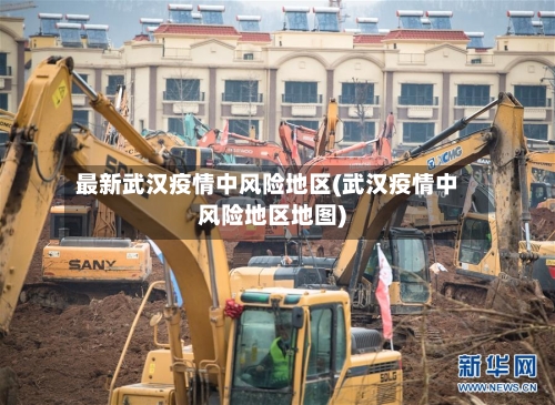 最新武汉疫情中风险地区(武汉疫情中风险地区地图)