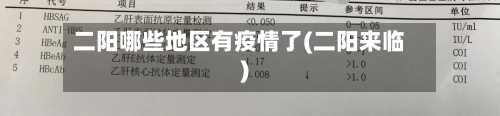 二阳哪些地区有疫情了(二阳来临)