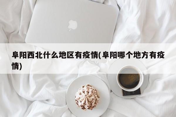 阜阳西北什么地区有疫情(阜阳哪个地方有疫情)